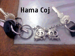 maichoi9x's profile picture. 