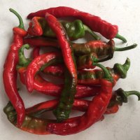 Capsicum (@chilipowders) 's Twitter Profile