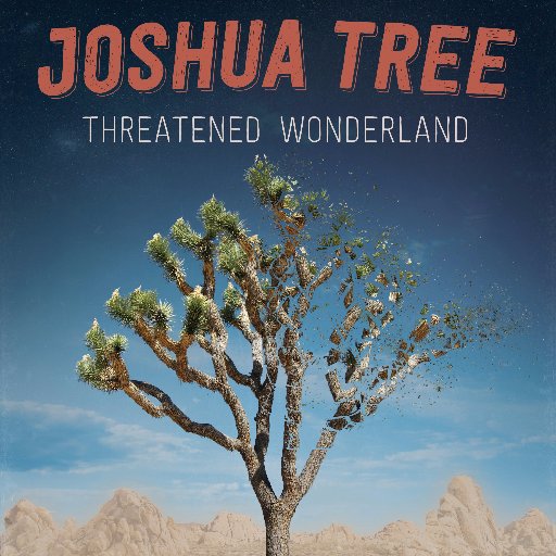 Documentary about the disappearing Joshua Trees in Southern California.