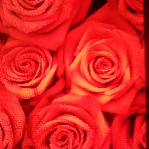 Krystabluz's profile picture. 