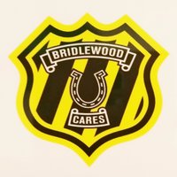 Bridlewood JPS (@tdsb_bridlewood) 's Twitter Profile