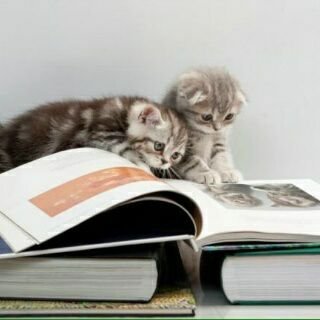 4Sam44's profile picture. 