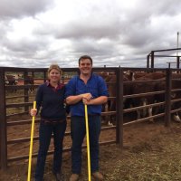 TraceyHayes🐂👩🏻‍🌾 (@traceyhayesnt) 's Twitter Profile