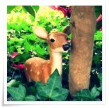 maru724's profile picture. たいへん適当です。なんとなくが好きです。中途半端なおたくです。すきな時代劇は三匹が斬る！来月からねのP4Aたのしみ！