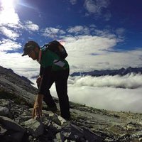 CiCi (@cianryan92) 's Twitter Profile Photo CiCi (@cianryan92) 's Twitter Profile Photo