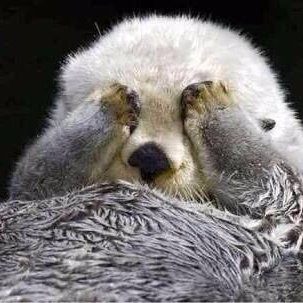 YconleyYuk's profile picture. 