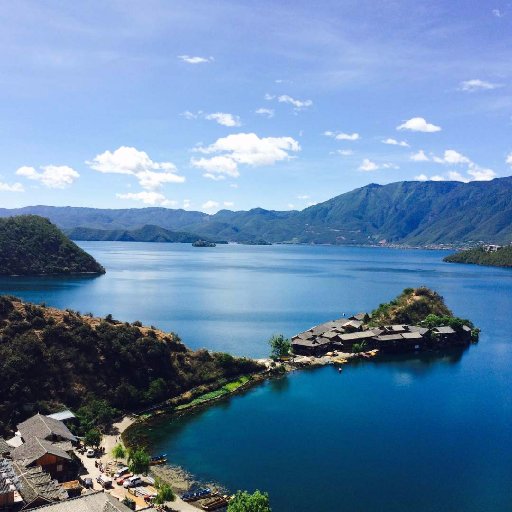 harrypei7788's profile picture. 