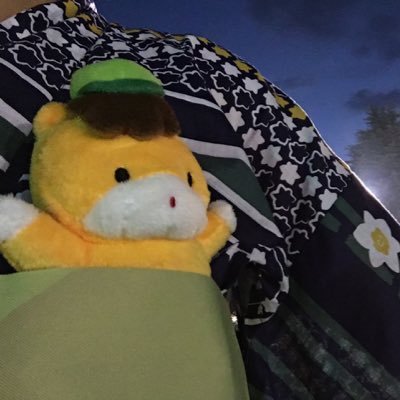 hoi ☘️ みーちゃん 🫤👈🏻さんのプロフィール画像