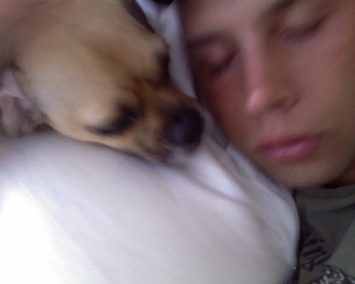 i1L0g1c's profile picture. Whats the L0g1c?