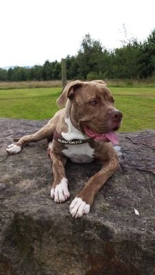 Jstokoe27's profile picture. 