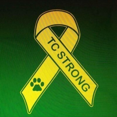 Foster a sense of pride and support the Triton Central community.