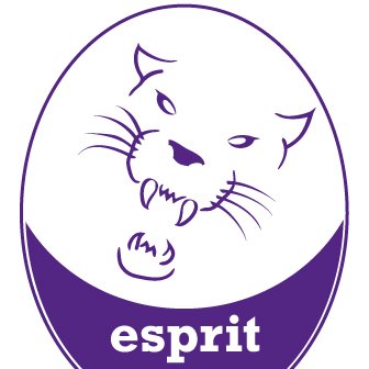 Grassroots English football team founded in 1996. Esprit Forever !