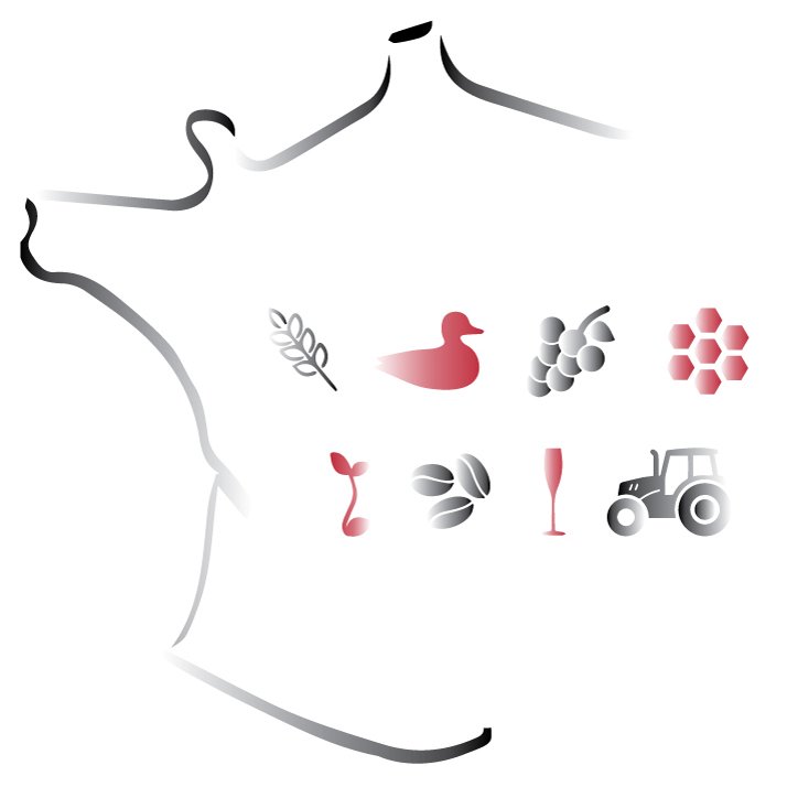 ContactFrancais's profile picture. Les coulisses de nos rencontres avec les régions et les producteurs qui font notre passion https://t.co/jxKsYcF2K0