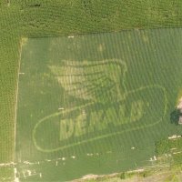 Darryl Whittington (@darrylwhittingt) 's Twitter Profile