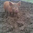 Dan Glavin - @muddylovely - Twitter