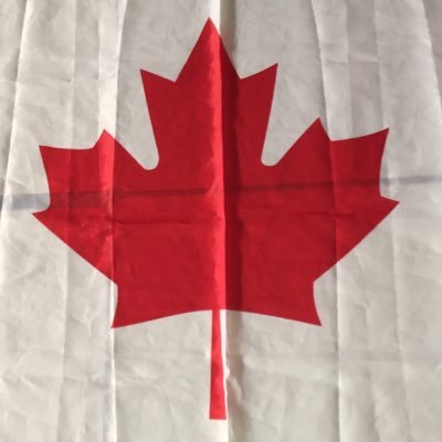 Official Twitter account of grade 7, Dr. George Stanley School in Cranston. #DGScbe