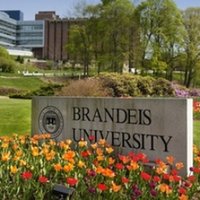 Brandeis Research (@brandeisinquiry) 's Twitter Profile