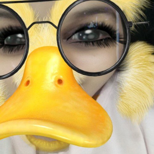 Good girl | Pasta Fanatic | Intersectional Feminist | Professional snake and ladder player