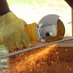 Escuela Taller Tumaco (@escuelatallert) Twitter profile photo Escuela Taller Tumaco (@escuelatallert) Twitter profile photo