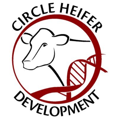 CircleHeifer's profile picture. Specialized heifer development for dairy producers with an 11,000 head capacity.