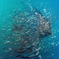 Soplaristotle (@dbtaekhun) 's Twitter Profile