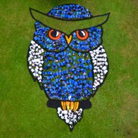 Johnson Elementary(@JJESOwls) 's Twitter Profile Photo