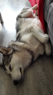 O_Ojustine's profile picture. 