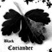 Black Coriander 🍉 (@black_coriander) Twitter profile photo Black Coriander 🍉 (@black_coriander) Twitter profile photo