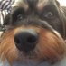 Catherine Morrison (@weearchiesmum) Twitter profile photo Catherine Morrison (@weearchiesmum) Twitter profile photo