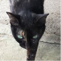 mtk (@mtk_____mtk) 's Twitter Profile