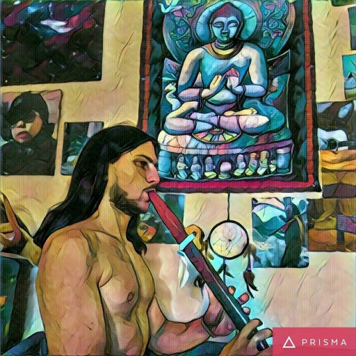 Svolgo il servizio civile nazionale; mi occupo di sociologia, decrescita e anarcoprimitivismo. Amo suonare e comporre con chitarra e native american flute.