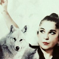 Ne Mutlu Türküm (@safaktun1) 's Twitter Profile