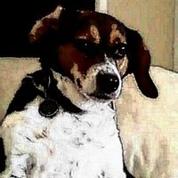 David Coleman (@dcolemanphd) 's Twitter Profile Photo David Coleman (@dcolemanphd) 's Twitter Profile Photo