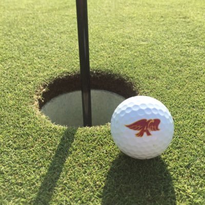 AnkenyHawksGolf's profile picture. 