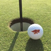 Ankeny Hawks Golf (@ankenyhawksgolf) 's Twitter Profile