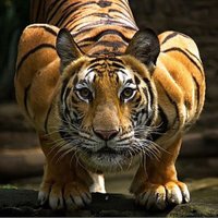 @RamsesVaz64 (@ramsesvazblanco) 's Twitter Profile Photo @RamsesVaz64 (@ramsesvazblanco) 's Twitter Profile Photo
