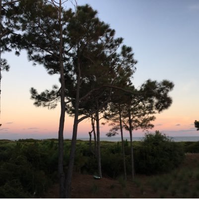 kate_borg's profile picture. 