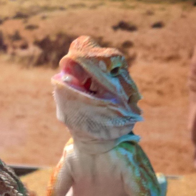 jimlizardking's profile picture. Software Engineer at Microsoft in the Azure Edge & Platform org. Data and perf geek, Author, NPC. All content is my own personal opinion. (He/Him)