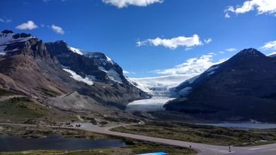 artemakuklev's profile picture. 