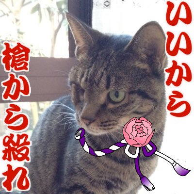haz_9's profile picture. 20↑ 腐 推しを推してるツイを見るのが好き。hnnm/nmmn：最近のイチオシはbstm、光凌。固定に.5相関図あげてます。VA磁石NS、nbtt。刀はくわぶぜ、虎徹、Free!は郁夏とはるまこ、時々かえひよだったり。片思い・両片思いCP大好き。常に鍵かけメイン垢。アカウント分けできない人なので自分の呟きは雑多。