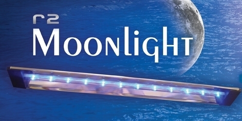 R2Lights's profile picture. We manufacture the worlds best aquarium moonlights. We offer a complete line of lighting solutions for aquariums of all sizes.