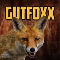 Gutfoxx (@gutfoxx) 's Twitter Profile Photo Gutfoxx (@gutfoxx) 's Twitter Profile Photo