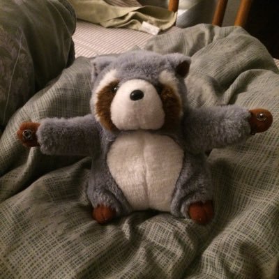 AnnHL's profile picture. 