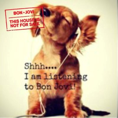 I don't suffer from an addiction to Bon Jovi, I enjoy every second of it ❤️
I love all kinds of great music 🎶🎧