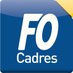 FO-Cadres (@FOCadres) Twitter profile photo