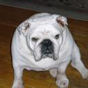 Brian Blanchette - @Daddy_ohh - Twitter