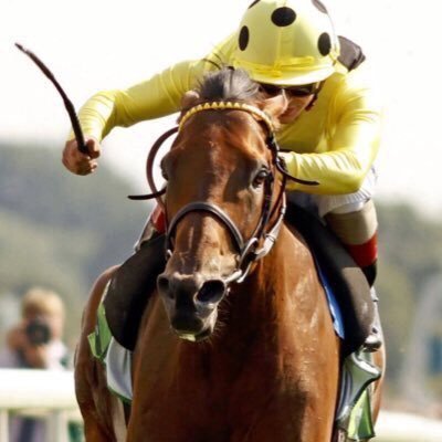 apuestastony's profile picture. Miembro de Tipsters Empire durante 1 año y medio. Apasionado de las Carreras de Caballos. Yield 84%, +250 unidades de beneficio.