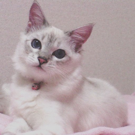 KAZUYOさんのプロフィール画像