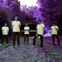 Voxes (@voxesmusic) 's Twitter Profile