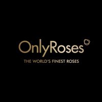 OnlyRoses(@OnlyRoses) 's Twitter Profile Photo